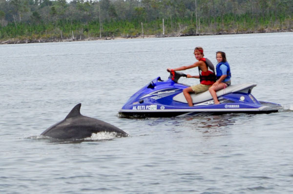 Jet Ski Guide Services and Tours - Barefoot Jet Ski Dolphin Tour