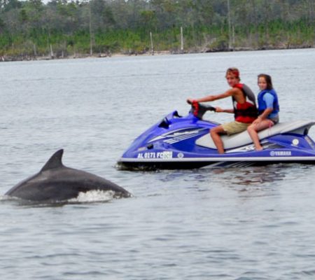 Wave Runner Dolphin Tour